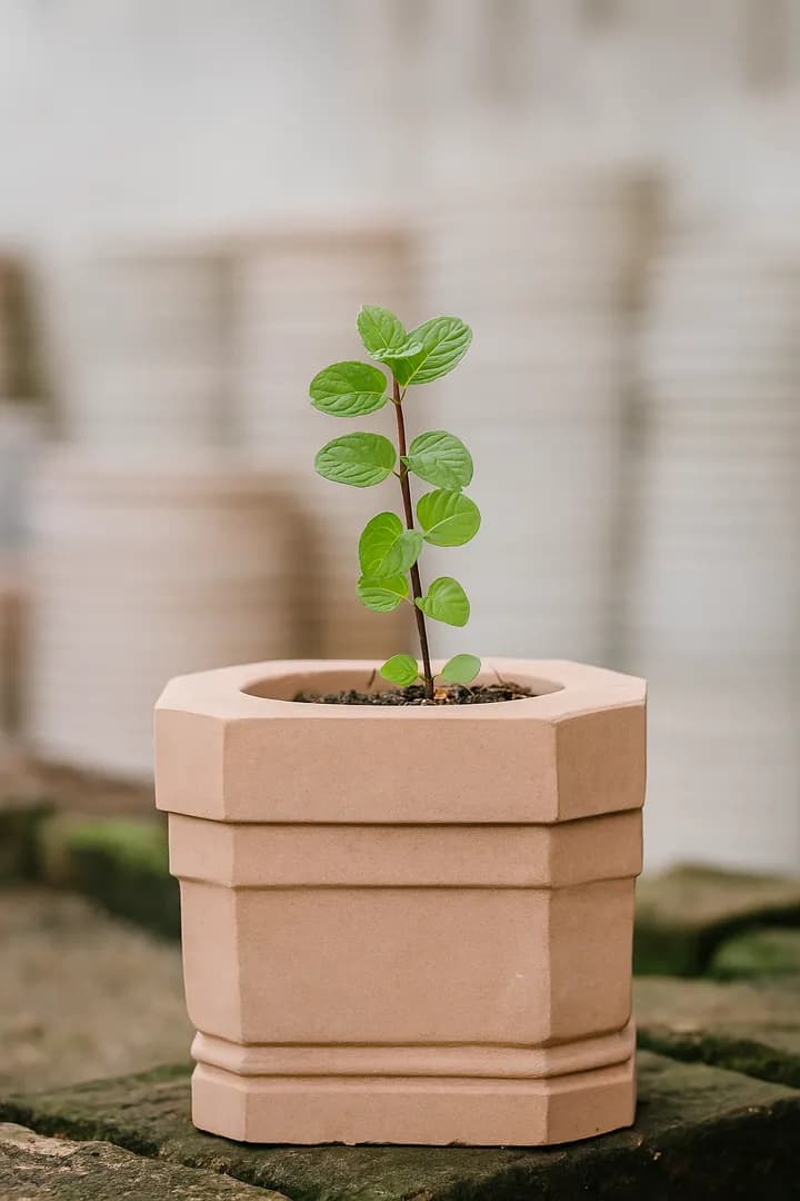 Hand Carved Pink Sandstone Flower Planter Pot